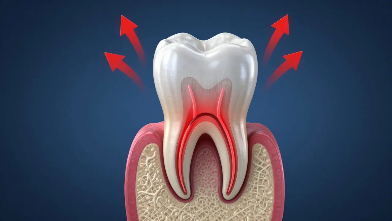 Ilustrace zánětu zubní pulpy a tlaku krve v zubech